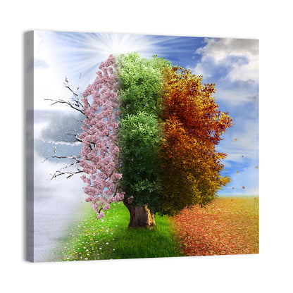 Tree Through Four Seasons Wall Art