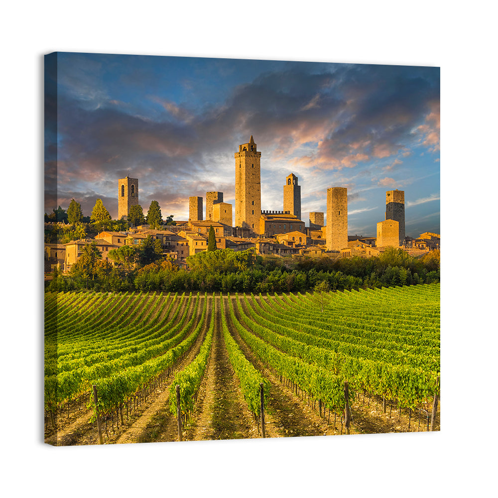 Vineyards of San Gimignano Wall Art