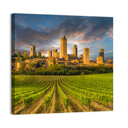 Vineyards of San Gimignano Wall Art
