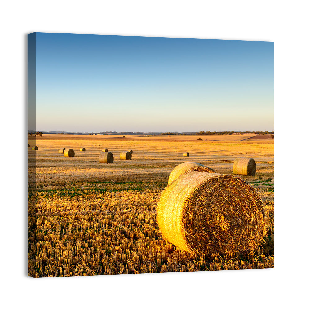 Hay Bales at Sunset Wall Art