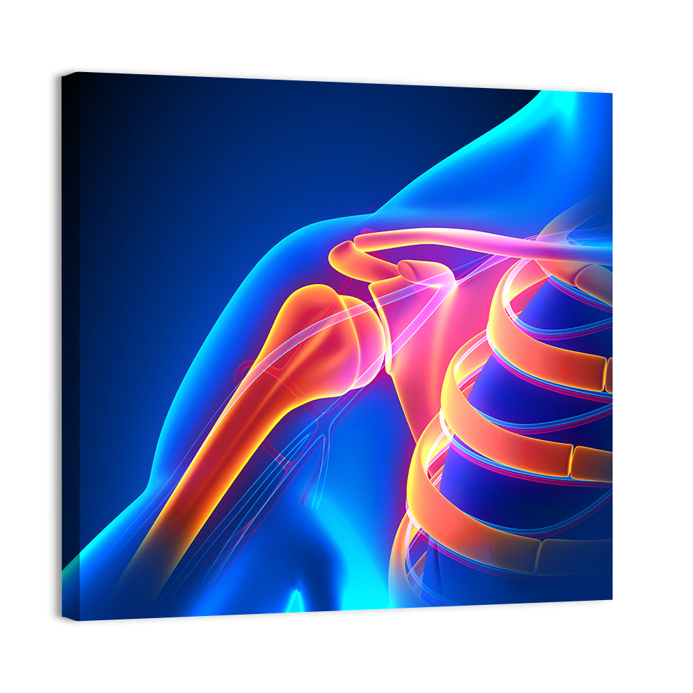 Shoulder Pain Anatomy Study Wall Art