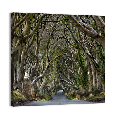 Dark Hedges Tree Tunnel Wall Art
