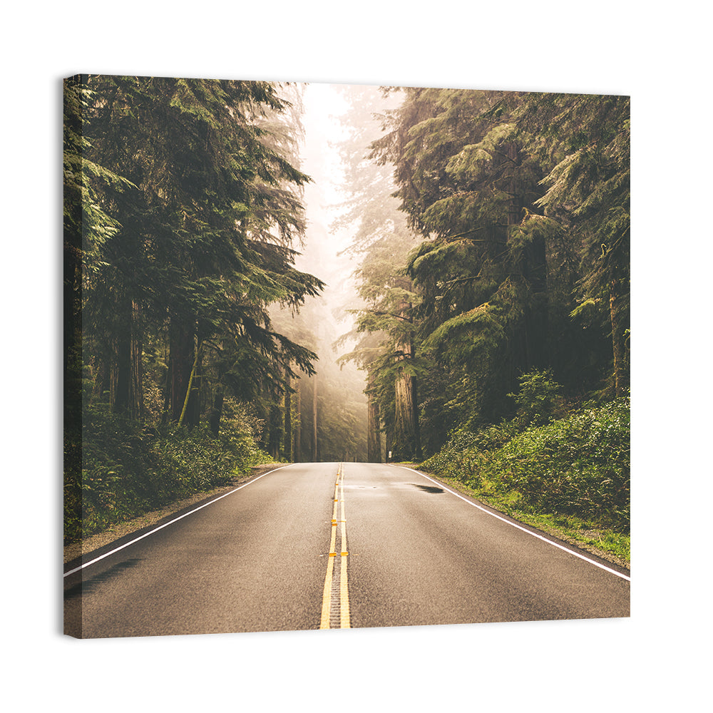 Redwood Highway, Northern California Wall Art