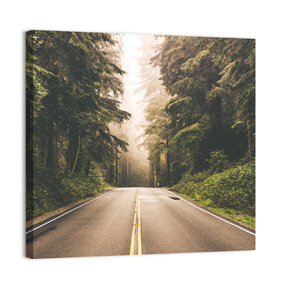 Redwood Highway, Northern California Wall Art