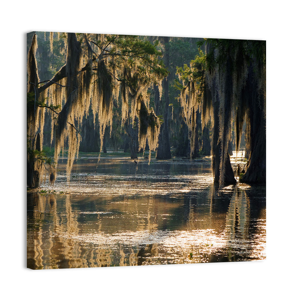 Spanish Moss In Louisiana Bayou Wall Art