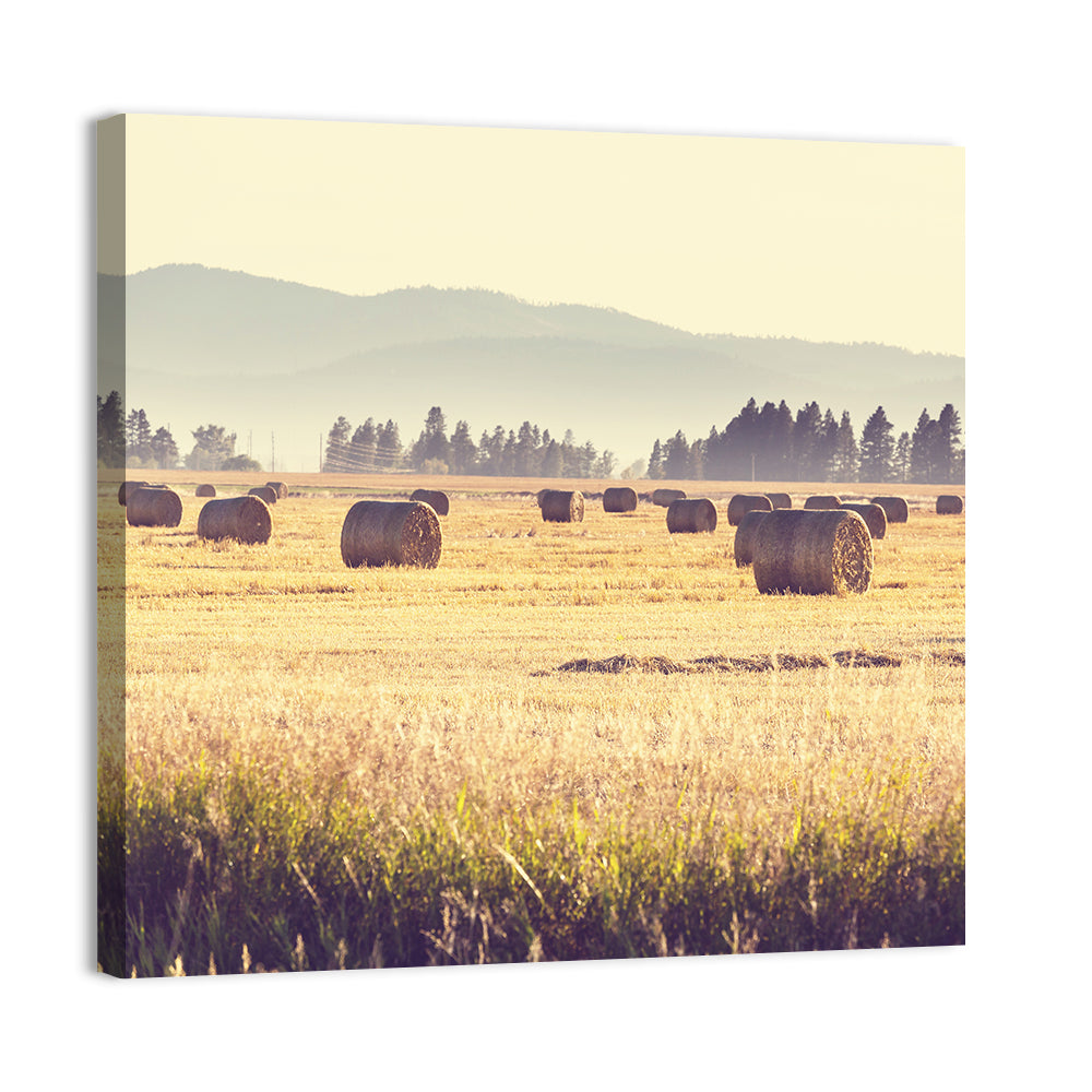 Golden Hay Bales Field Wall Art