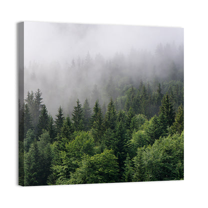 Misty Evergreen Forest Overview Wall Art