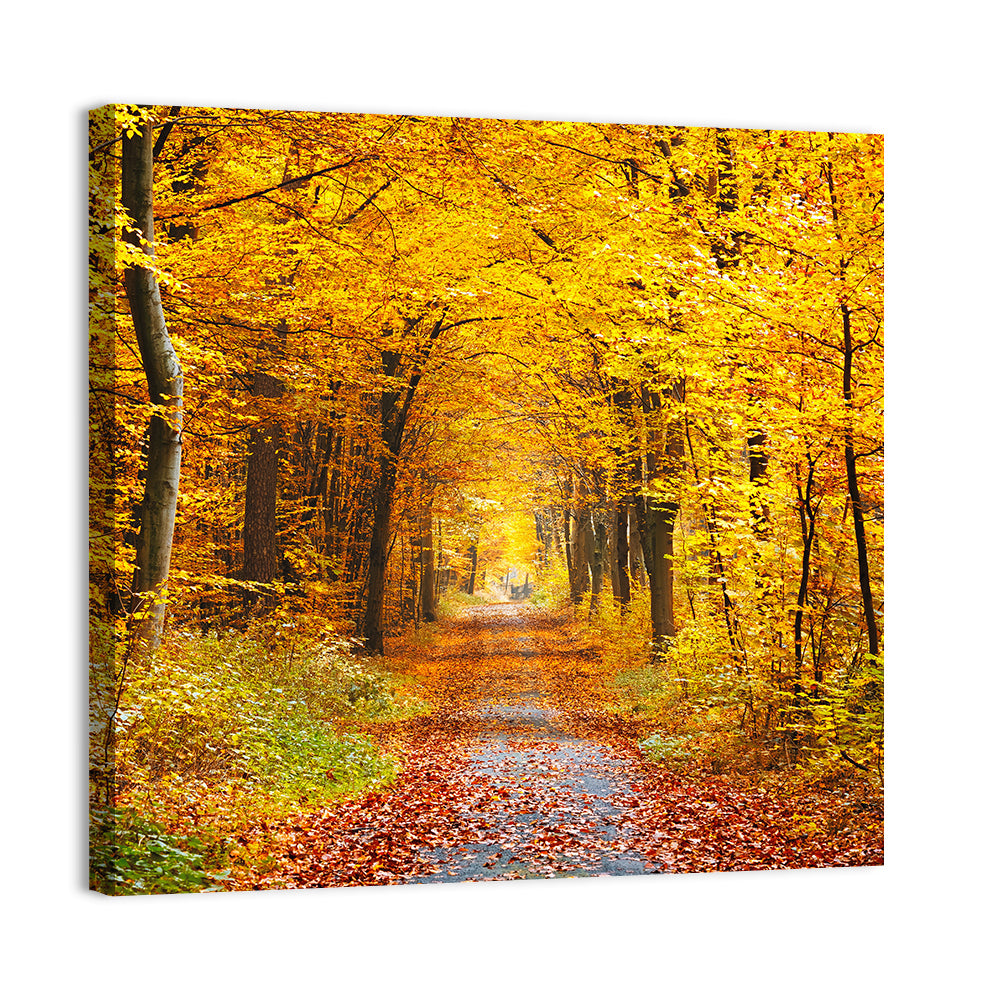 Autumn Forest Path Wall Art