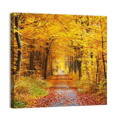 Autumn Forest Path Wall Art