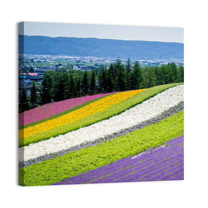 Farm Tomita Lavender Fields Wall Art