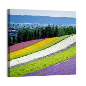 Lavender Garden In Fulano Hokkaido Wall Art