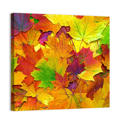 Colorful Autumn Leaves Wall Art