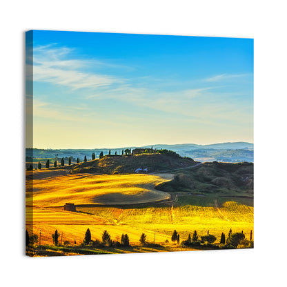 Cypress Trees Over Golden Fields Wall Art