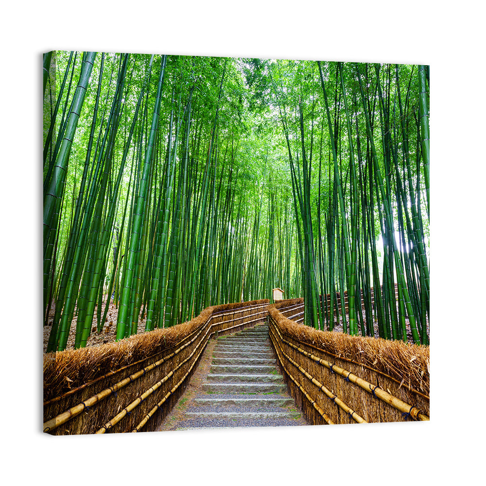 Stone Steps in Kyoto Bamboo Forest Wall Art