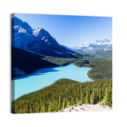 Peyto Lake Wall Art