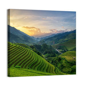 Rice Fields On Terrace Vietnam Wall Art