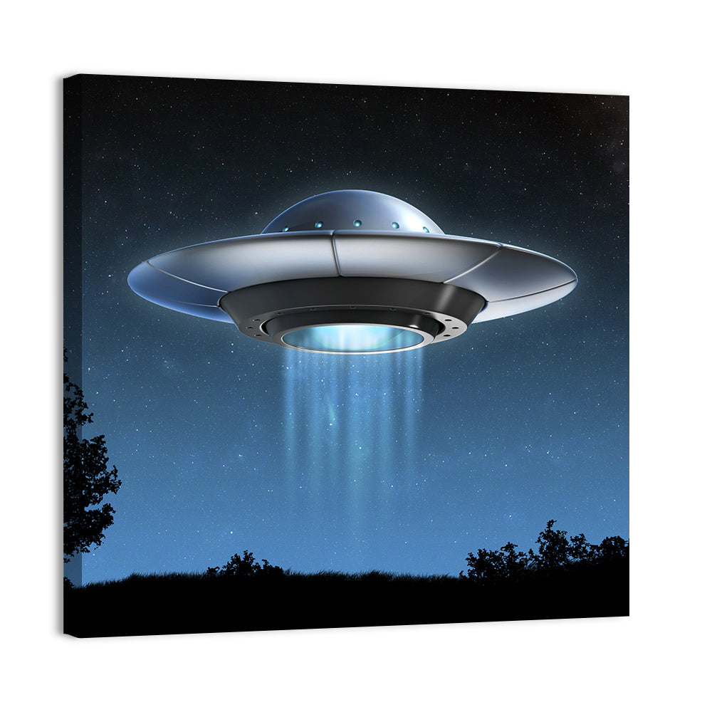 Ufo Over Silhouetted Grassland Wall Art