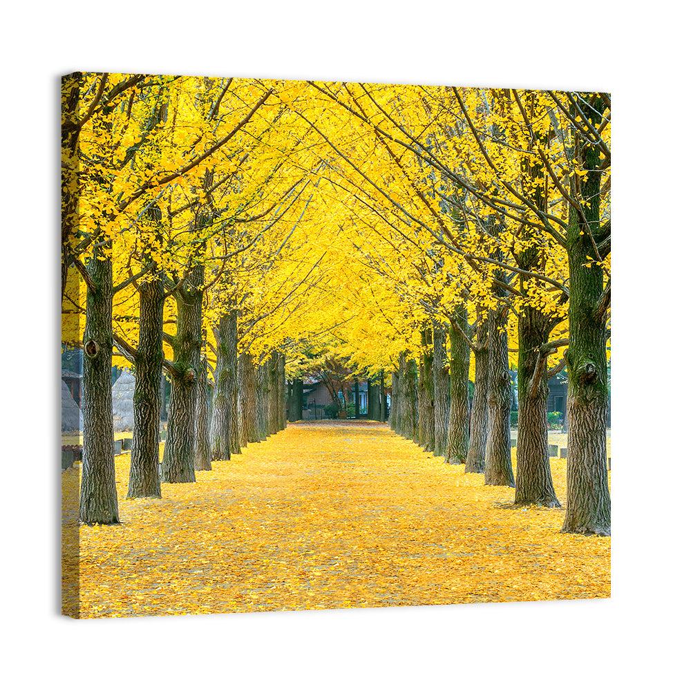 Row of Yellow Ginkgo Trees Wall Art