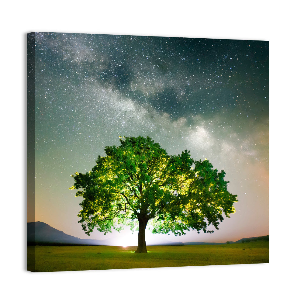 Lone Tree Under Milky Way Wall Art