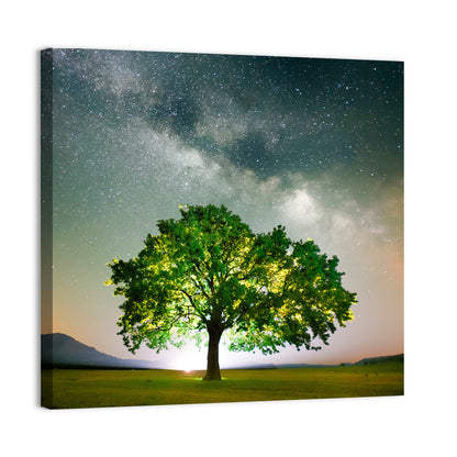 Lone Tree Under Milky Way Wall Art