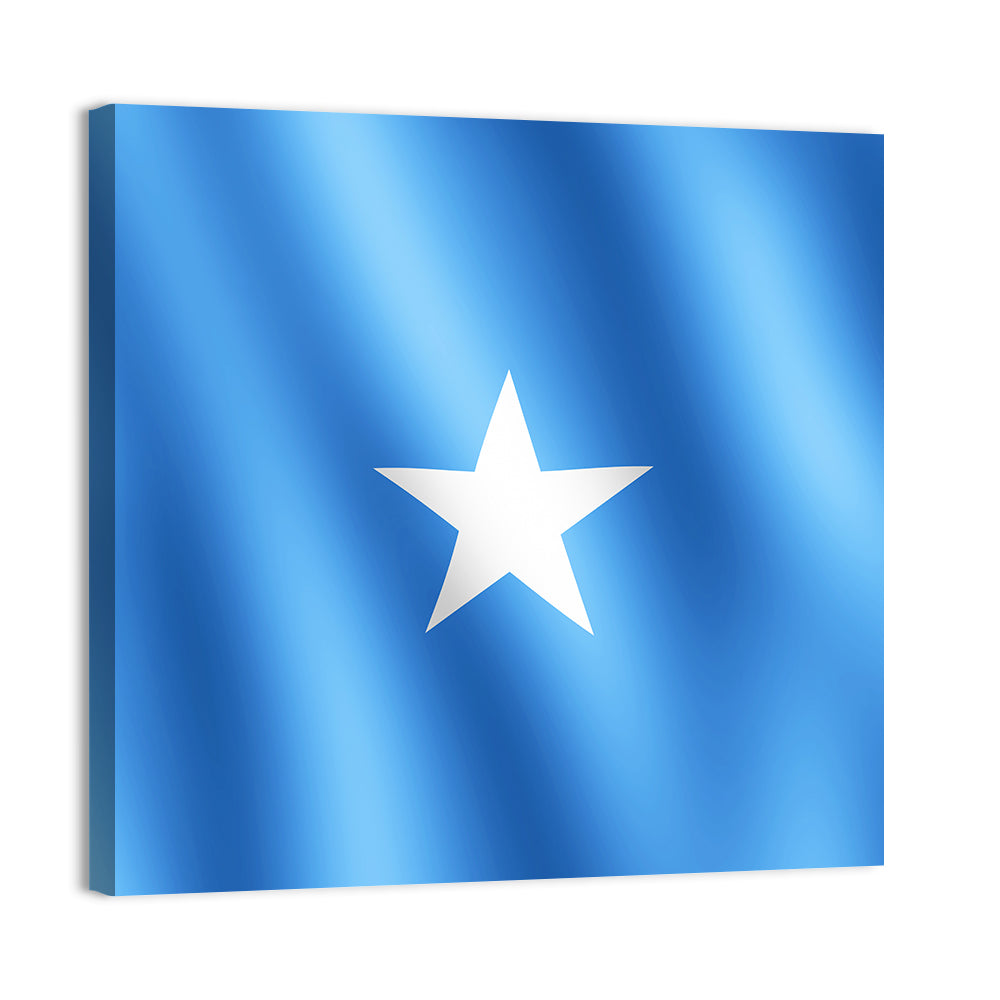 Somalia Flag with Five-pointed Star Wall Art
