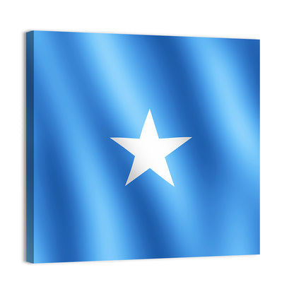 Flag Of Somalia Wall Art