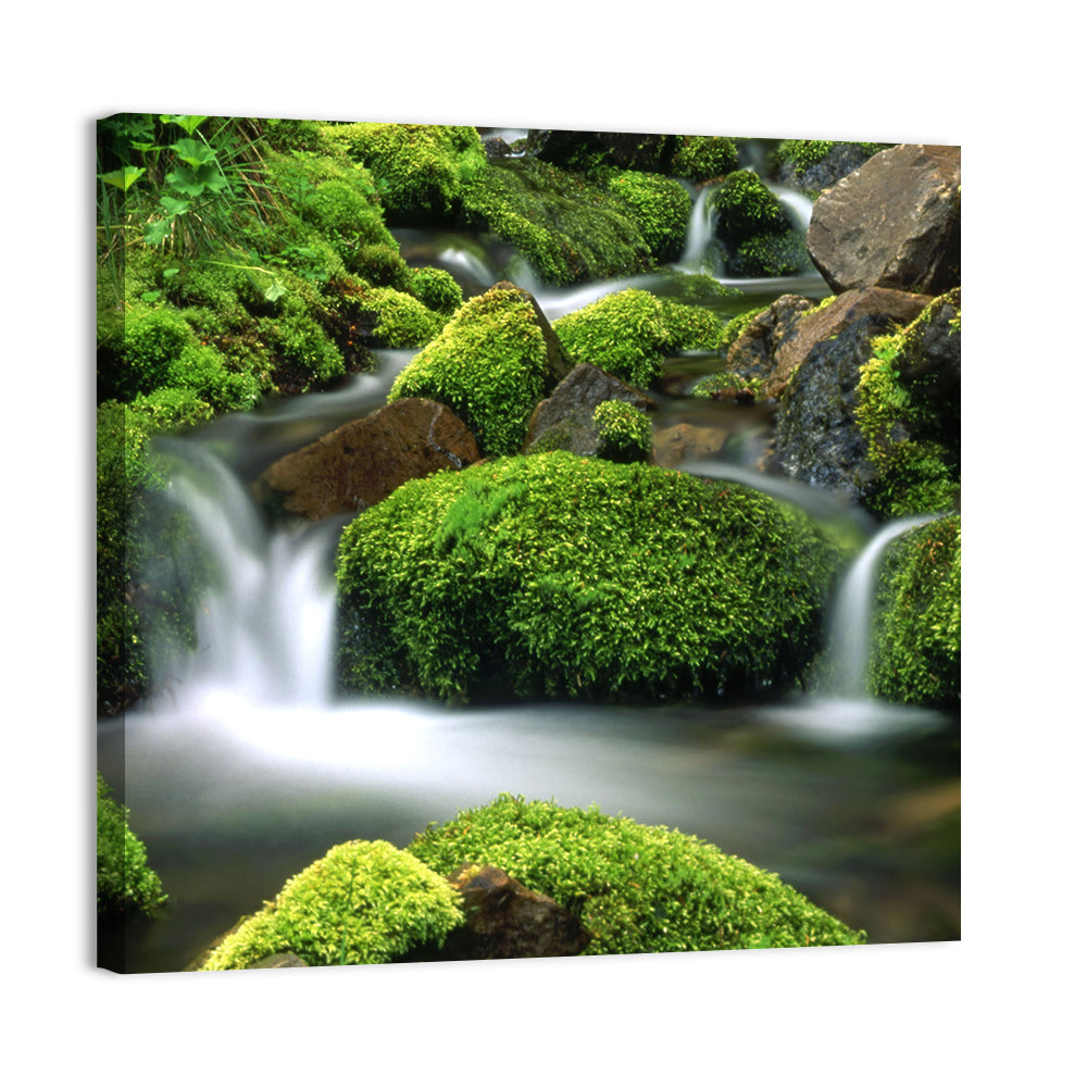 Mossy Mountain Stream Wall Art