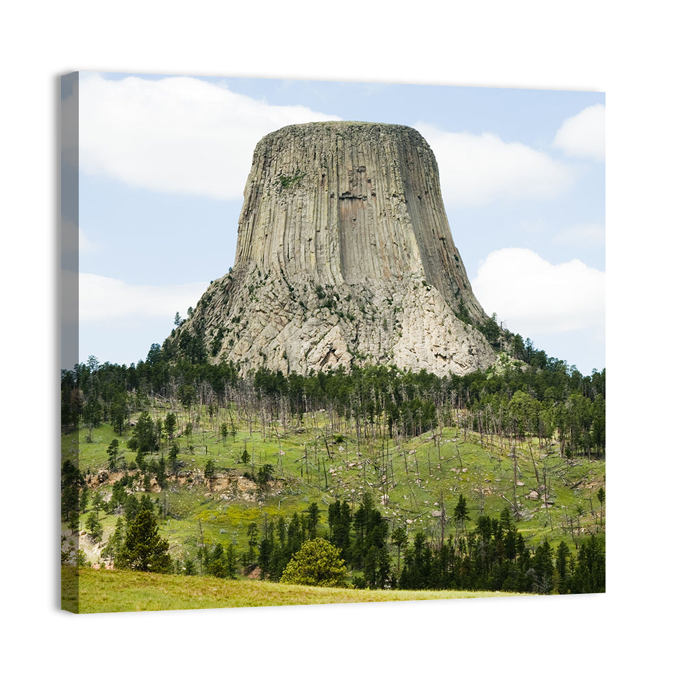 Devils Tower Columnar Monolith Wall Art