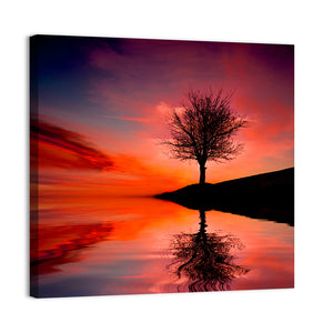 Leafless Tree Near Lake Sunset Wall Art