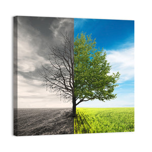 Lonely Tree In Field Wall Art