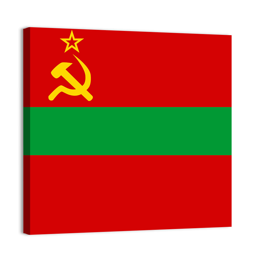 Flag Of Transnistria Wall Art