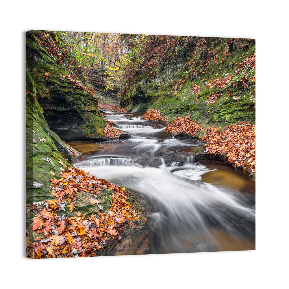 Warren County Autumn Cascades Wall Art