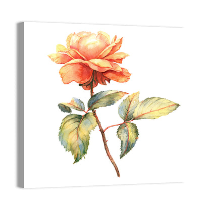 Orange Watercolor Rose Illustration Wall Art