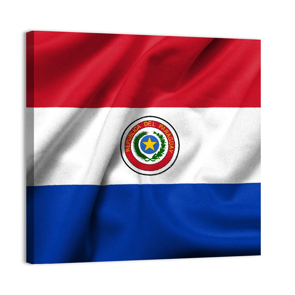Paraguay Flag with Emblem Wall Art