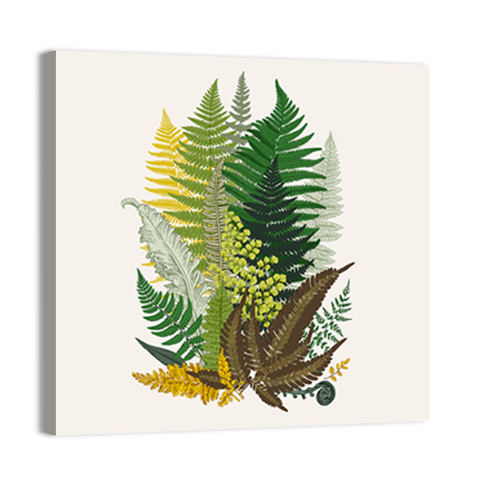 Fern Composition Wall Art, canvas print, square