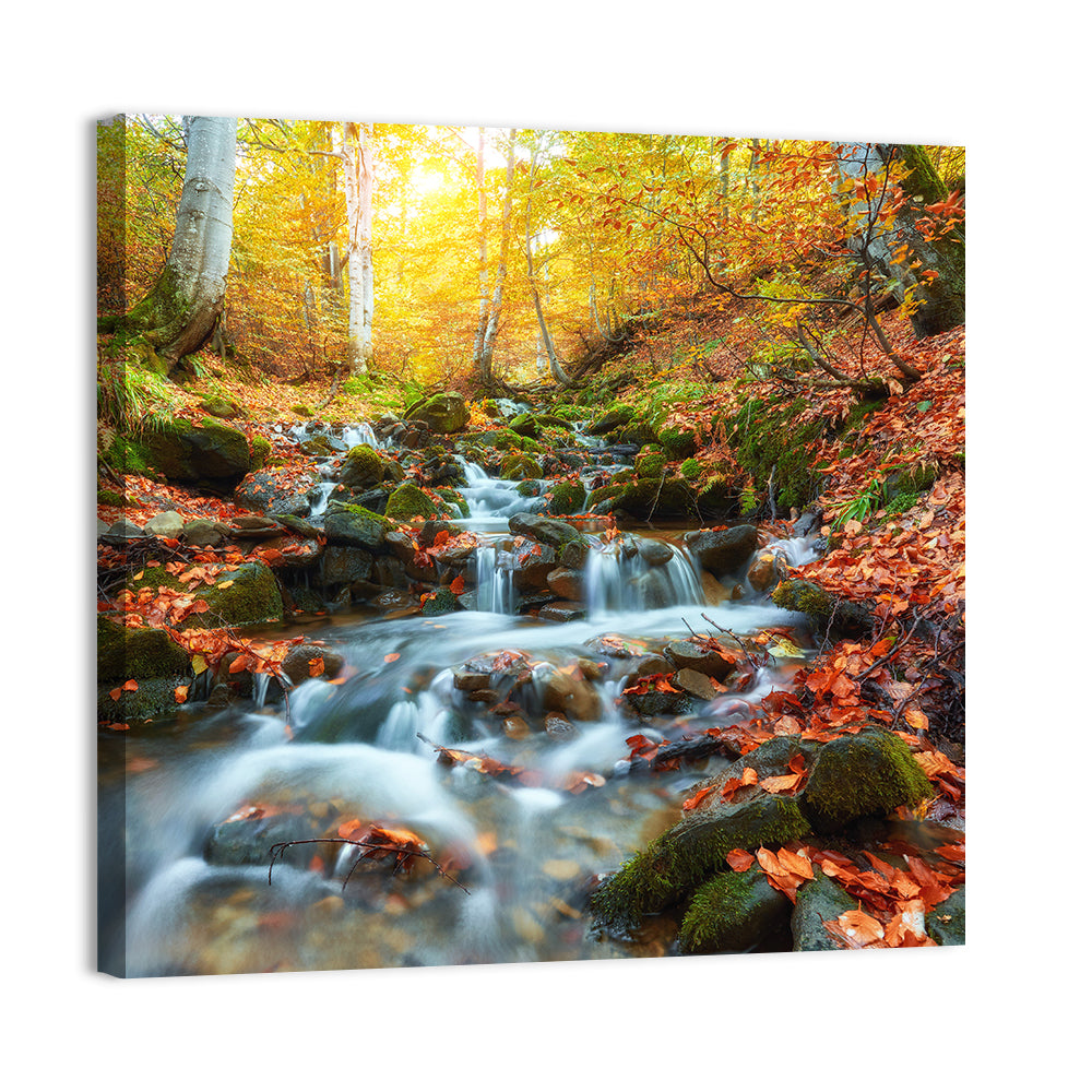Backlit Autumn Forest Stream Wall Art