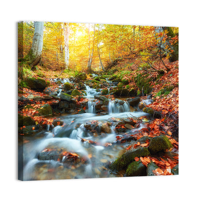 Backlit Autumn Forest Stream Wall Art