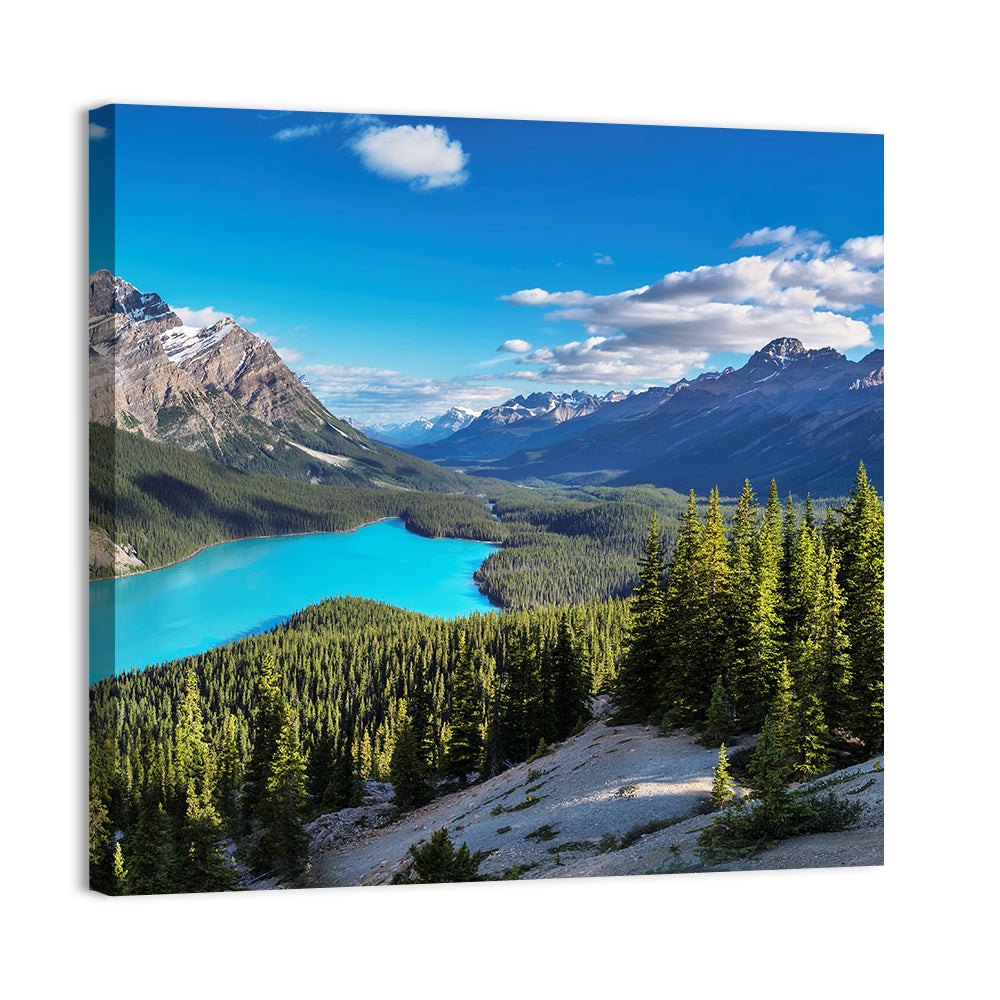 Peyto Lake, Banff National Park Wall Art