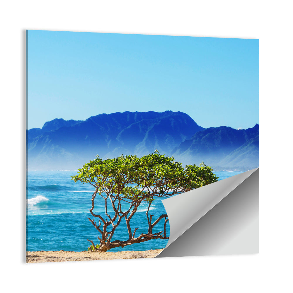 Hawaiian Coastal Tree on Rocky Shore Wall Art