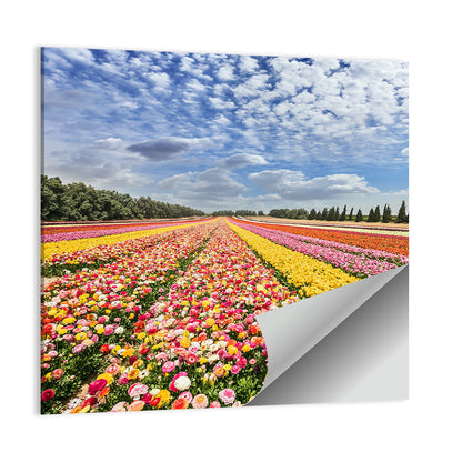 Spring Buttercup Field Wall Art