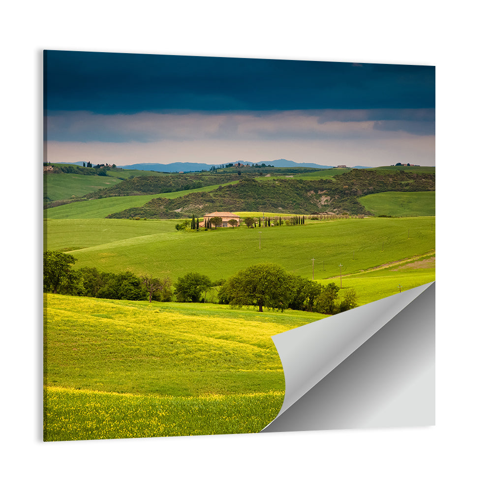 Tuscany in Summer Wall Art