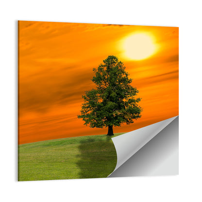 Lonely Tree on Green Hill at Sunset Wall Art