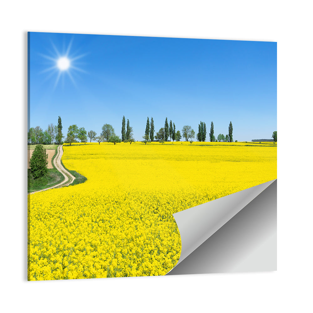 Winding Path Through Rapeseed Field Wall Art