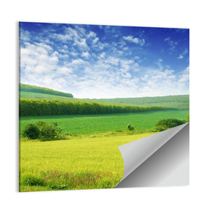 Green Spring Meadow Wall Art