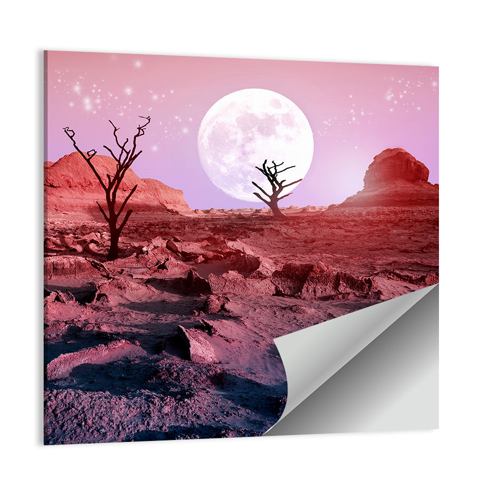 Desert Moon with Silhouetted Trees Wall Art