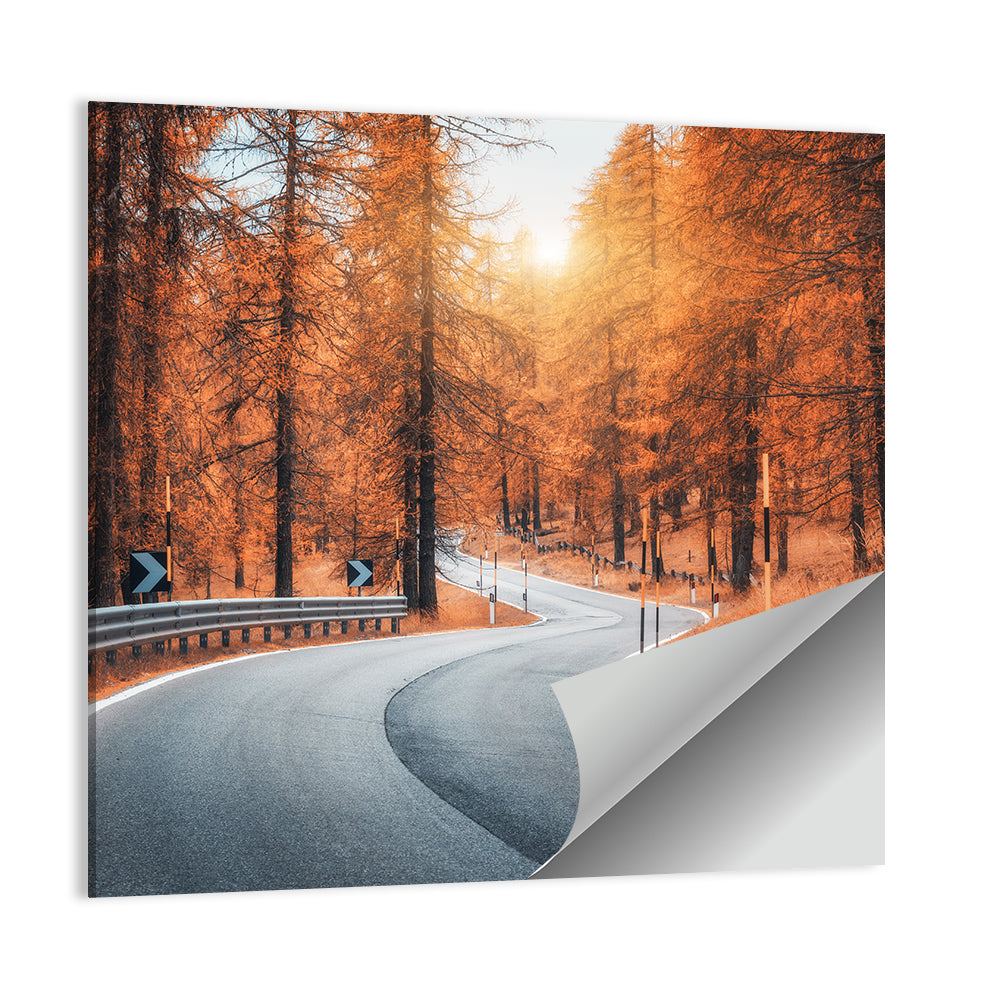 Autumn Road at Sunset Wall Art
