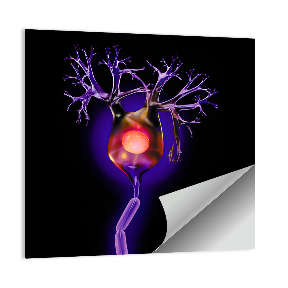 Microscopic Human Neuron Illustration Wall Art