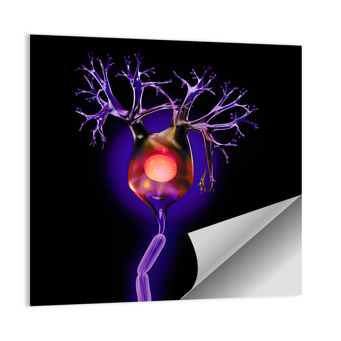 Microscopic Human Neuron Illustration Wall Art as a poster print
