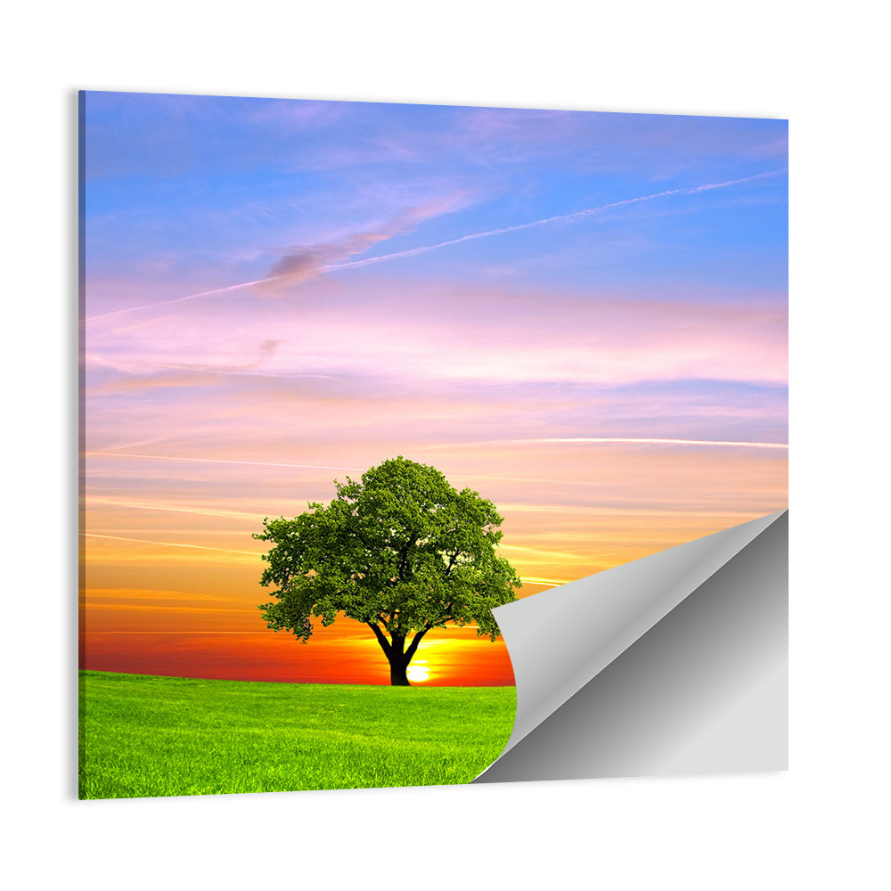 Lone Tree at Sunset Wall Art