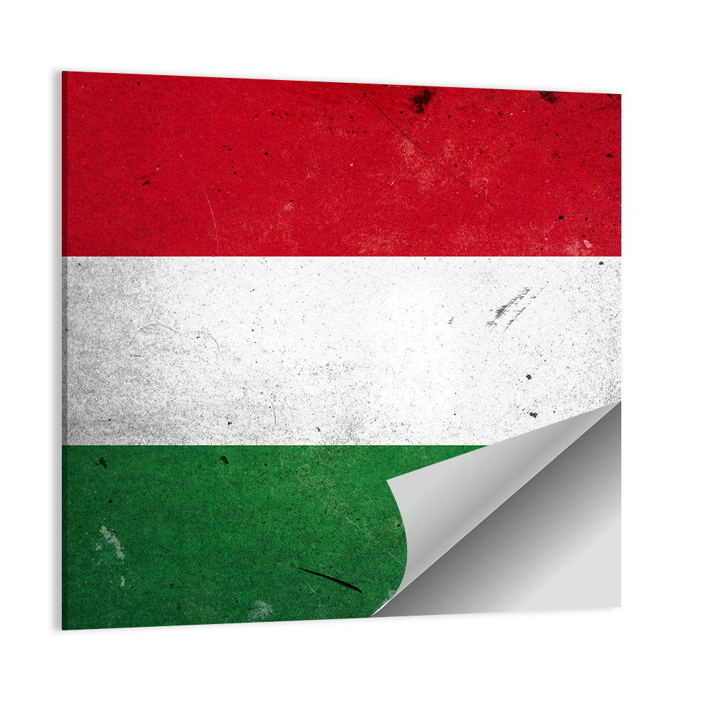 Vintage Hungarian Flag Wall Art